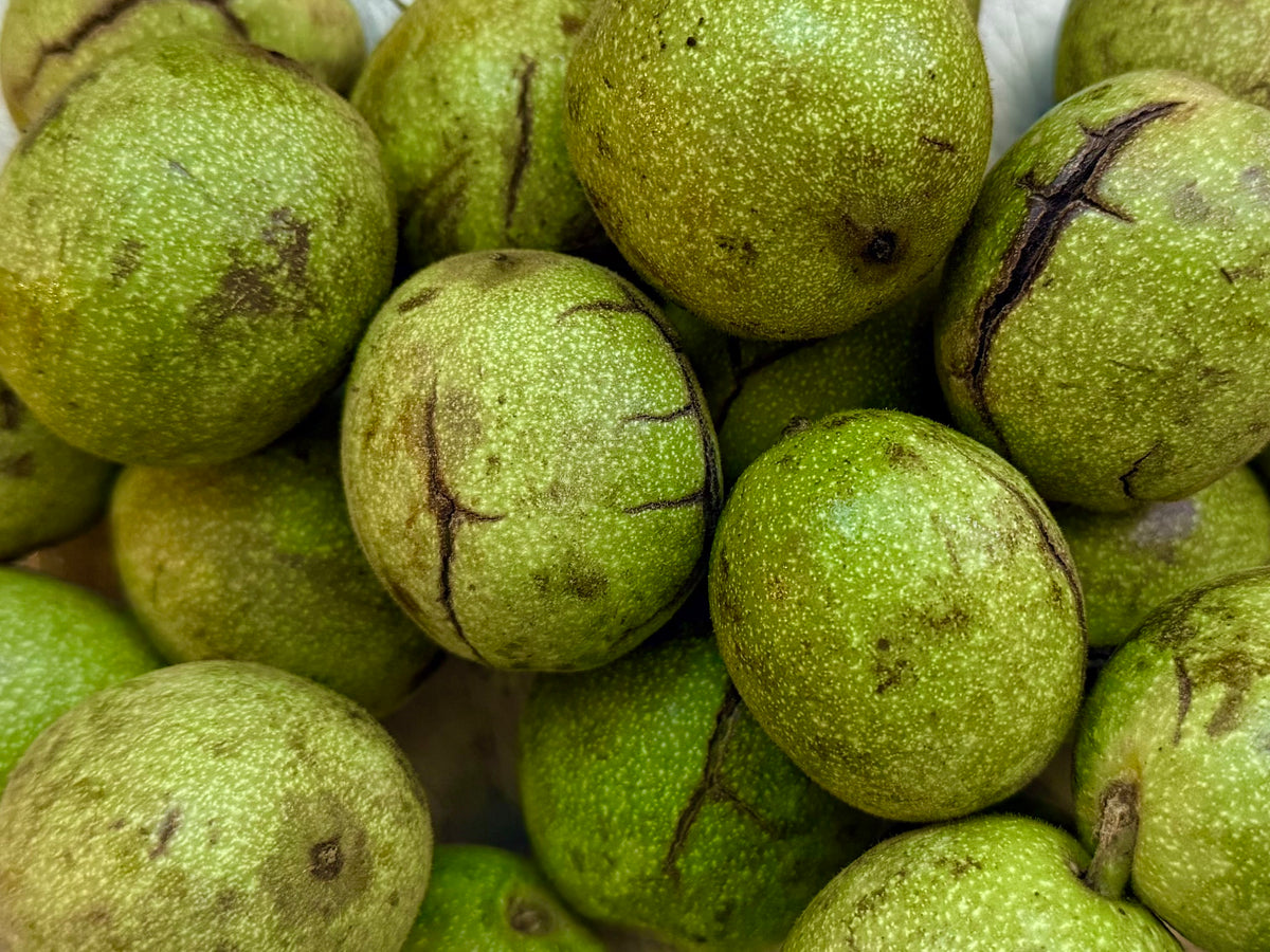 Fresh California Raw Green Walnut - With Shell & Husk - 1 Pound