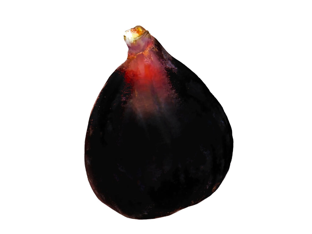 Fresh Black Mission Fig (1 Pound) 🟦 (Anjir Tazeh) - Fresh Fruit - Kalamala - Kalamala