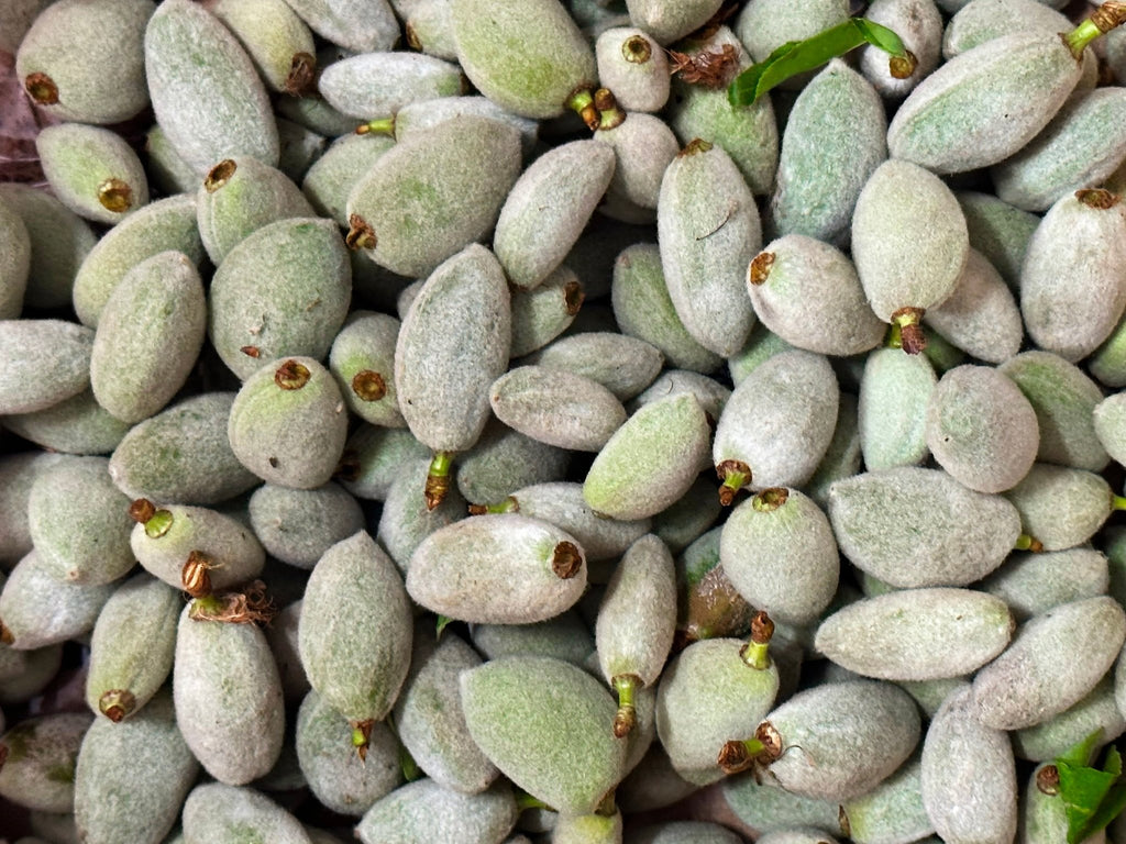 Fresh California Green Almonds 🟦 - 2 Pounds ( Chaghale Badoom, Chaghaleh Badam ) - Fresh Vegetables - Kalamala - Kalamala