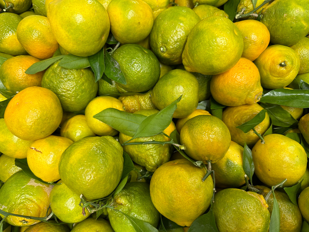 Fresh Produce – Kalamala