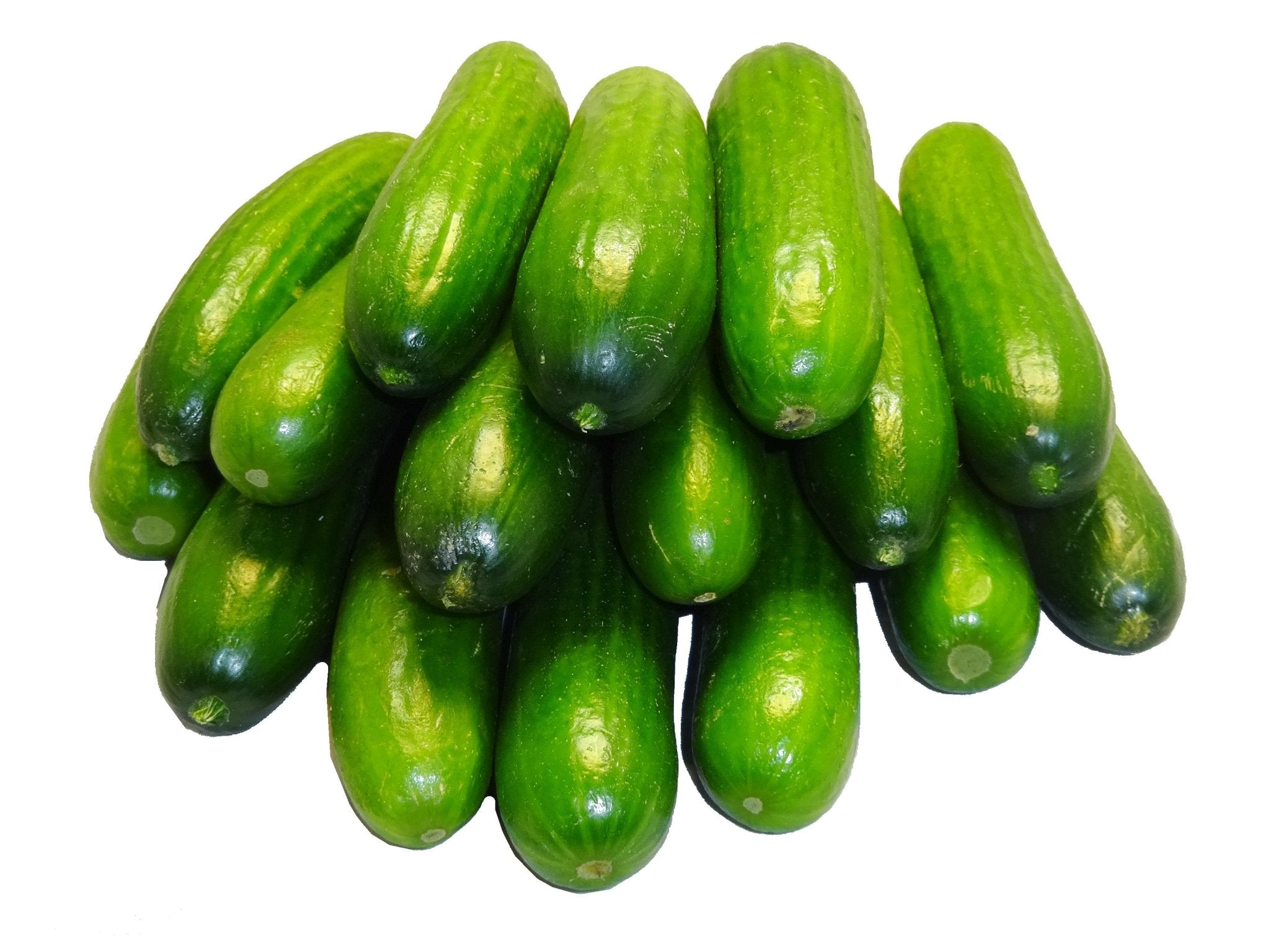 Fresh Cucumber, Each